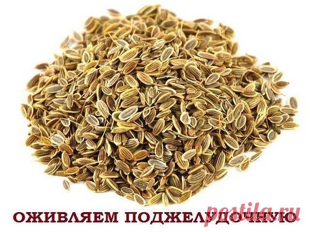 1 непрочитанный чат