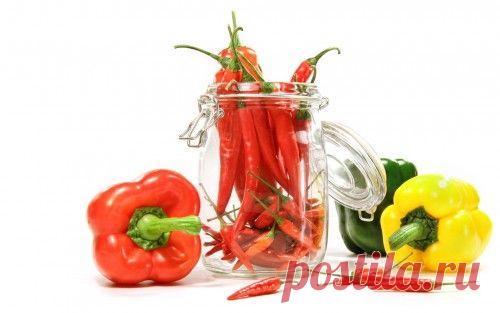 Запасаемся острым перчиком: засолка, маринование и другие способы заготовки / Простые рецепты