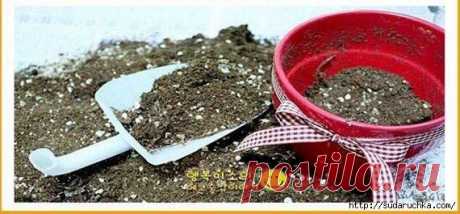 МАСТЕРИМ САДОВУЮ ЛОПАТКУ - Украшаем дачный участок