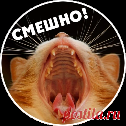 Быстро и вкусно. | OK.RU