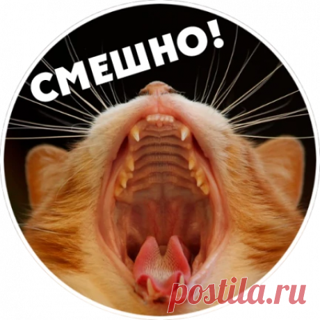 Быстро и вкусно. | OK.RU