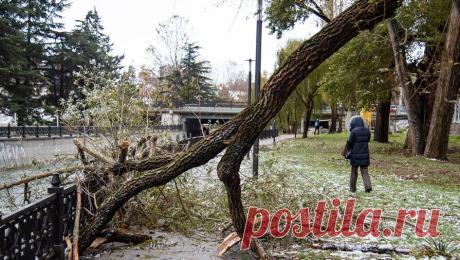 Аксенов сообщил о &quot;чистках&quot; руководящего состава &quot;Крымэнерго&quot; после шторма. В Крыму в связи с длительным восстановлением электроснабжения после сильного шторма уволены и покинут свои должности ряд руководителей районных электрических сетей (РЭС) ГУП &quot;Крымэнерго&quot;. Об этом сообщил глава Крыма Сергей ...