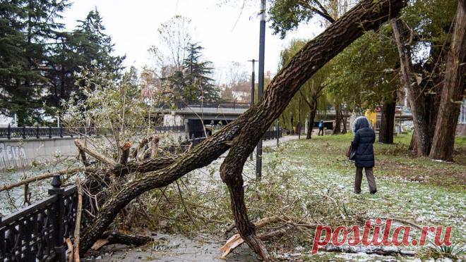 Аксенов сообщил о "чистках" руководящего состава "Крымэнерго" после шторма. В Крыму в связи с длительным восстановлением электроснабжения после сильного шторма уволены и покинут свои должности ряд руководителей районных электрических сетей (РЭС) ГУП "Крымэнерго". Об этом сообщил глава Крыма Сергей ...