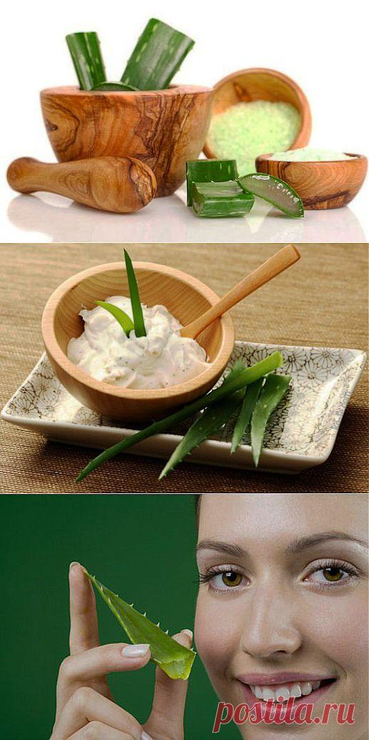 Маски из алоэ для лица и волос - Женский журнал LadySpecial.ru