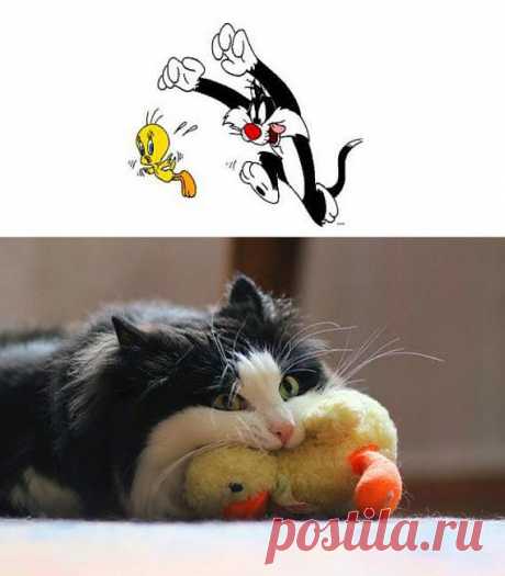 Мультик и реальность | Kote.Rjaka.com