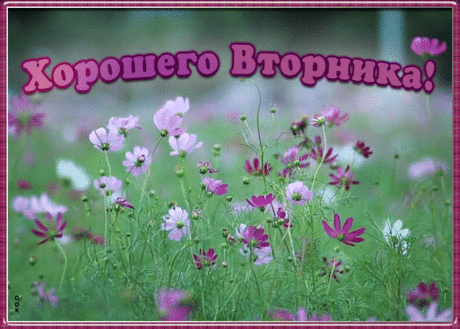 Красивая открытка с вторником