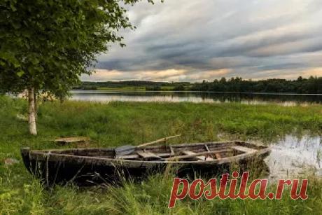 Альбом – Google+