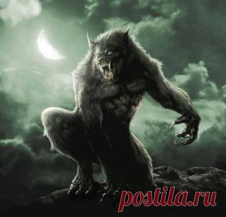 ужасы  Оборотни
