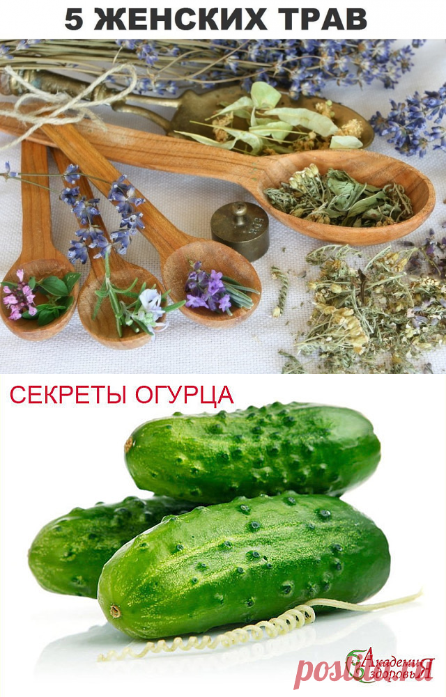 (68) Одноклассники