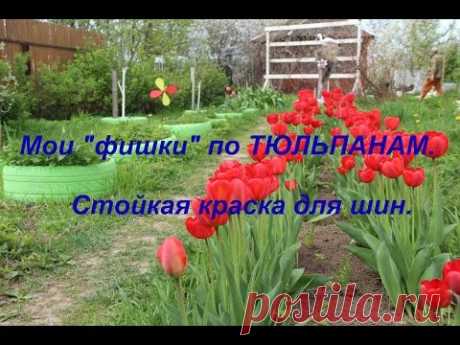 Мои &quot;фишки&quot; по ТЮЛЬПАНАМ +Стойкая краска для шин.