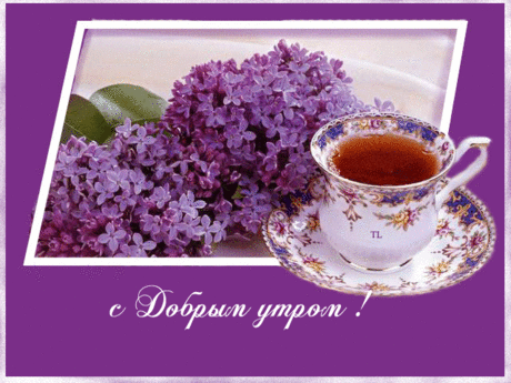 КРАСОТА МОРЯ