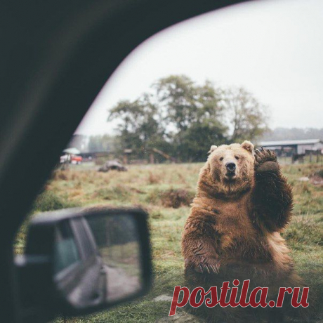 Welcome to Russia / Удивительное искусство