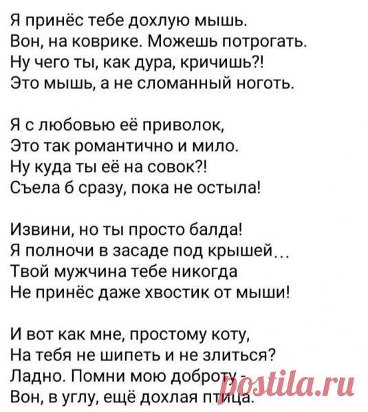 Яндекс Картинки: поиск похожих изображений