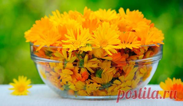 КАК ОЧИСТИТЬ КРОВЬ В ДОМАШНИХ УСЛОВИЯХ - """МИР ЖЕНЩИНЫ - Группы Мой Мир