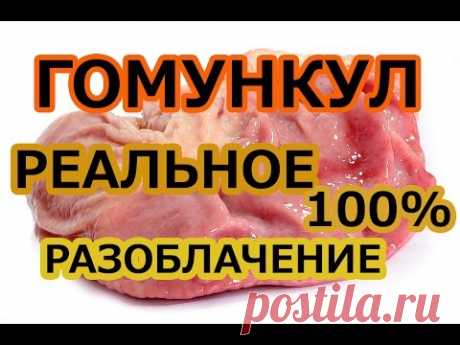 ГОМУНКУЛ - реальное РАЗОБЛАЧЕНИЕ и реальные ФАКТЫ