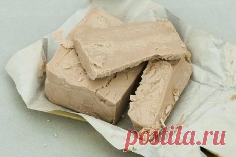 Как приготовить газированный квас в домашних условиях / Как сэкономить