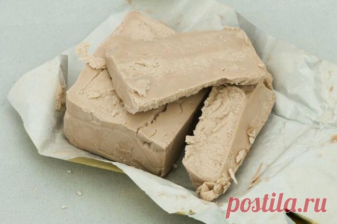 Как приготовить газированный квас в домашних условиях / Как сэкономить