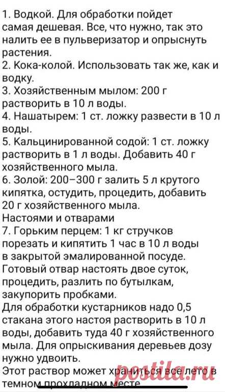 Избавляемся от тли