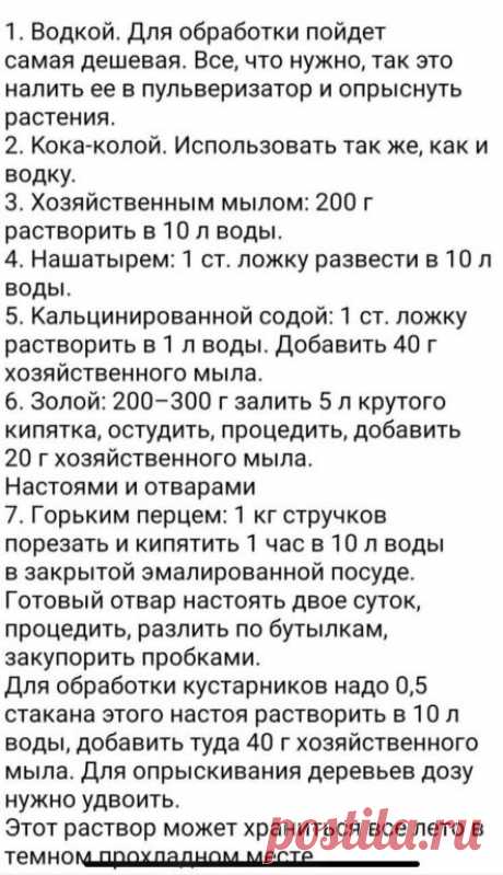 Избавляемся от тли