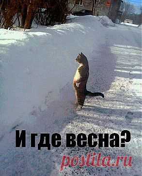 )))