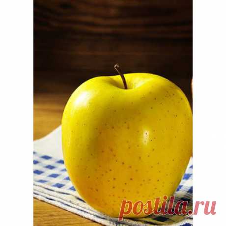 Акции (страница 10 из 10)