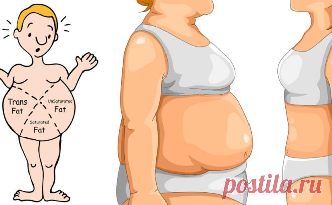 Волшебное средство для потери веса и растопки жира в животе - Упражнения и похудение Проверенные и действенные 2 способа Сегодня я собираюсь поделиться древним природным средством, которое действительно действует магически. Жир желудка полностью отличается от жира, накопленного на других частях тела. В большинстве случаев это на самом деле жир, но иногда это просто вздутие живота. Это естественное средство устранит все вздутие живота из вашего желудка, а также ускорит метаболизм тела, чтобы …