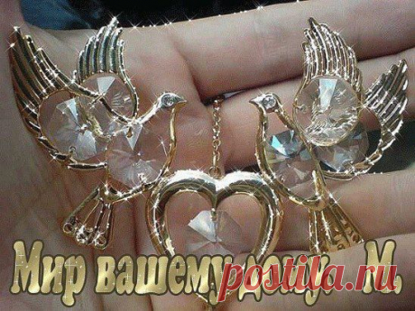 (14) Одноклассники