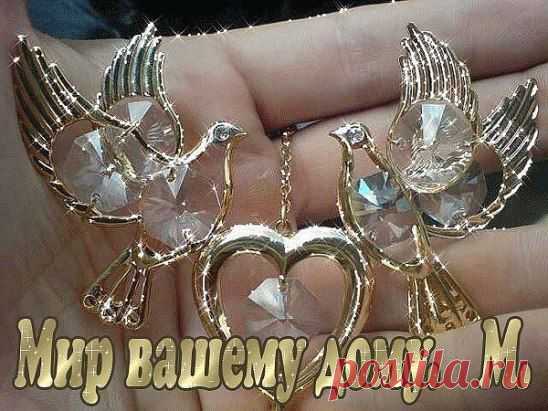 (14) Одноклассники