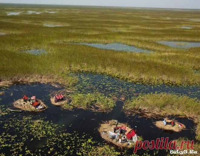 Непроходимые болота Судд в Южном Судане
