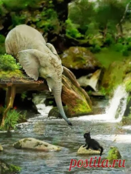 Amazing Pictures – Сообщество – Google+