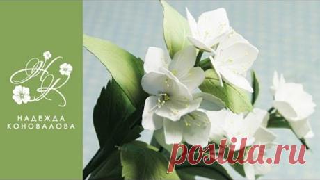 (72) Одноклассники