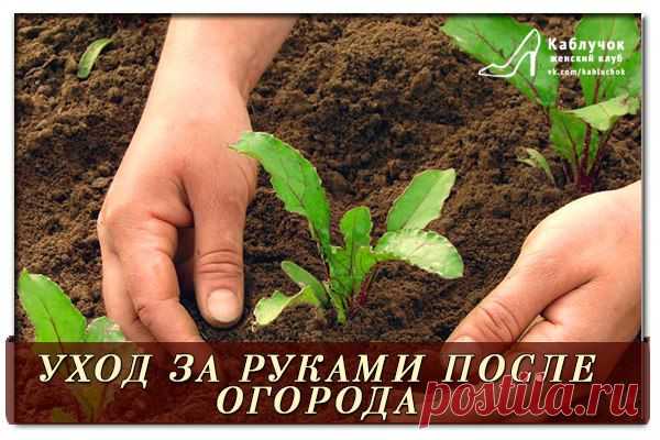 УХОД ЗА РУКАМИ ПОСЛЕ ОГОРОДА.