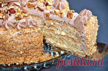 ТОРТ "БЕЛОЧКА" 
Ингредиенты:

Для теста:
 яйца — 5 шт.; сливочное масло — 200 г;
 сахар — 250 г;
 мука — 1 стакан;
 разрыхлитель — 1ч. ложка;
 какао — 1,5 ст. ложки;
 орехи — 1 стак;
 сметана — 4 ст. ложки;
 лимонный сок — 0,5 ч. ложки

Для крема:
 сливки — 500 мл;
 сгущенное молоко — 0,5 банки;
 закрепитель сливок -4 пакетика

Для глазури:
 сливки — 200 мл;
 шоколад — 200 г;
 желатин — 10 г;
 печенье для обсыпки.

Приготовление:

1. Желтки отделить от белков, белки постав...