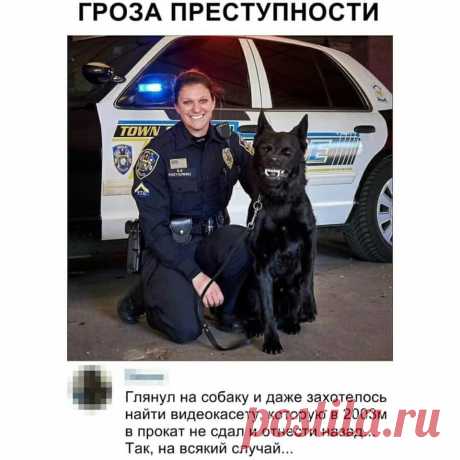 (41) Вам И Не Снилось...