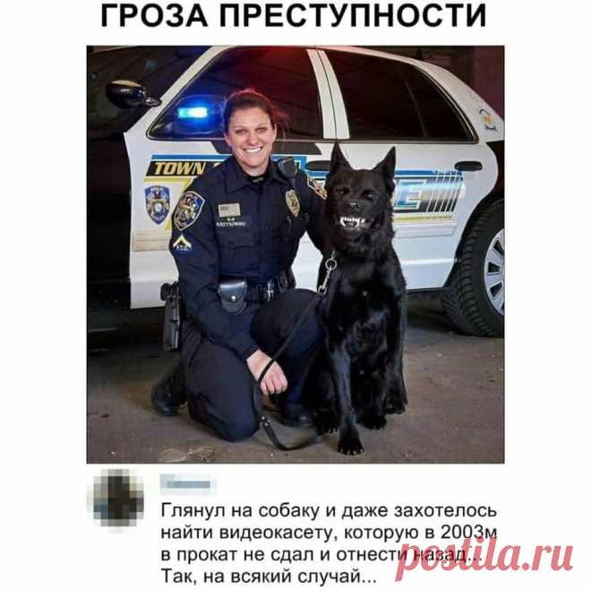 (41) Вам И Не Снилось...