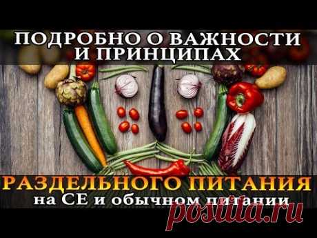 🍏 ОСОБО ВАЖНО для Здорового Образа Жизни: раздельное питание на сыроедении и обычном питании (совместимость продуктов): https://youtu.be/9TAWLlP1Su8 Как правильно совмещать продукты, чтобы кардинально улучшить свое самочувствие и здоровье, а также чтобы сыроедение работало по максимуму. #Сыроедение #РаздельноеПитание