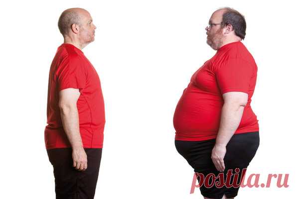 Как похудеть после 50 | healthy lifestyle | Яндекс Дзен