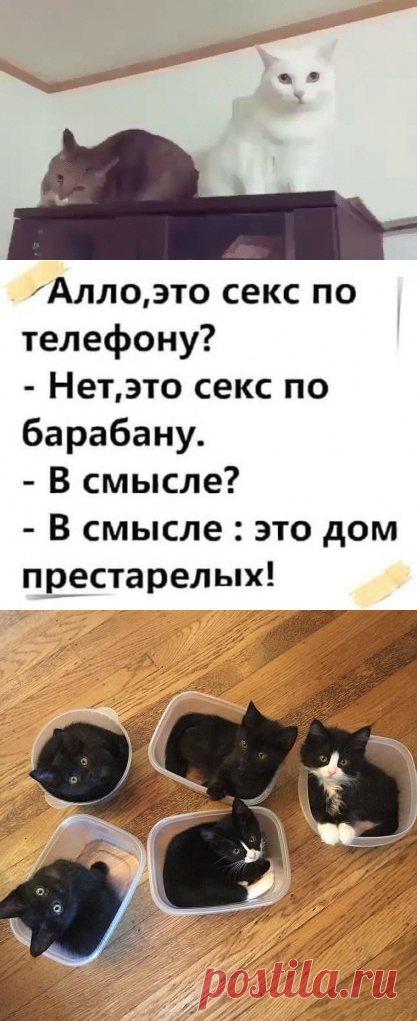 (60) Одноклассники