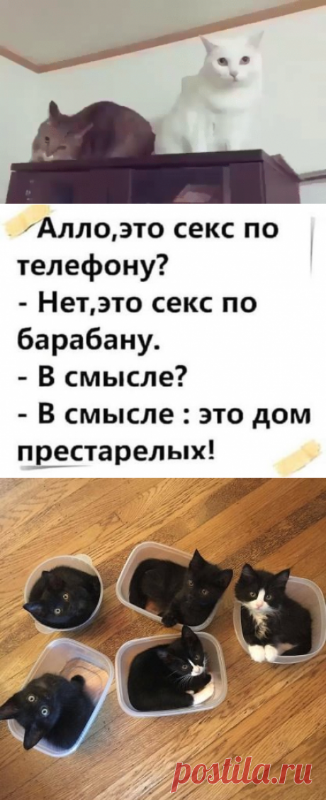 (60) Одноклассники