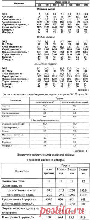 Переваримость и использование питательных веществ рациона молодняком свиней на откорме - БиоКорова