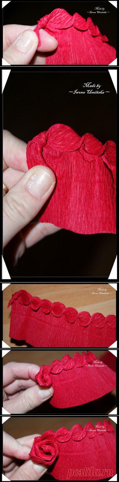 Крученные розы из гофрированной бумаги МК + Фото для вдохновения