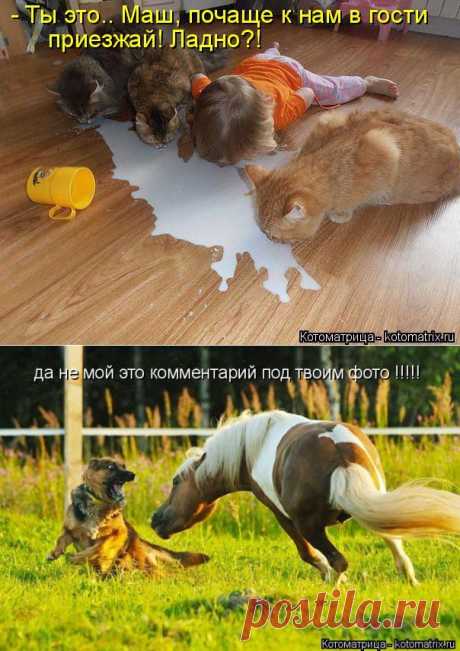 УЛЫБНИСЬ - ЭТО ЖЕ ПЯТНИЦА!..