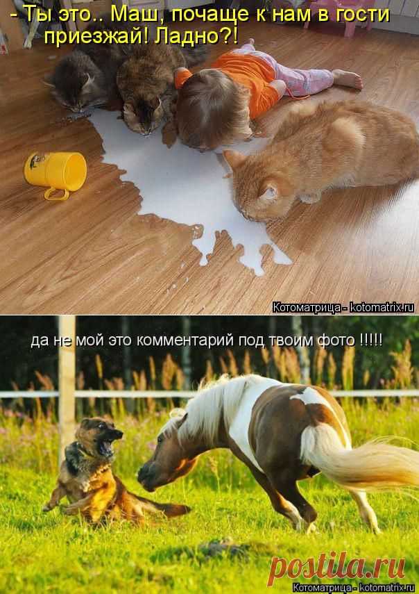 УЛЫБНИСЬ - ЭТО ЖЕ ПЯТНИЦА!..