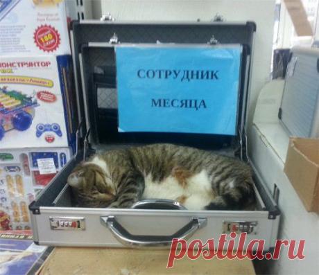 Луучшие кадры всегда под рукой...