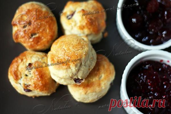 Scones. Сконы | Natalia