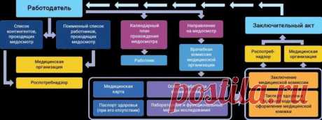 Что такое паспорт здоровья: определение, назначение, условия получения
