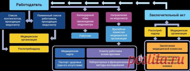 Что такое паспорт здоровья: определение, назначение, условия получения