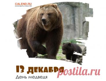 С Днём медведя! Пусть твоя жизнь будет такой же мощной и величественной, как этот символ нашей страны. Желаю тебе находить уют и тепло в любой ситуации, как медведь в берлоге. Открытки на День медведя!