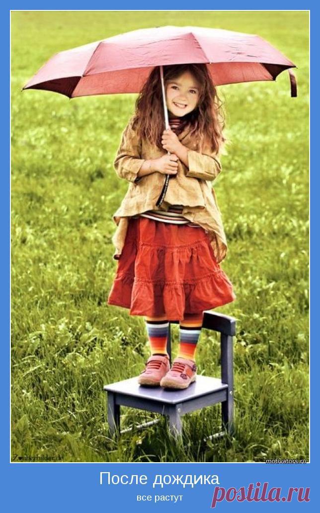 А еще после дождика доходы растут)