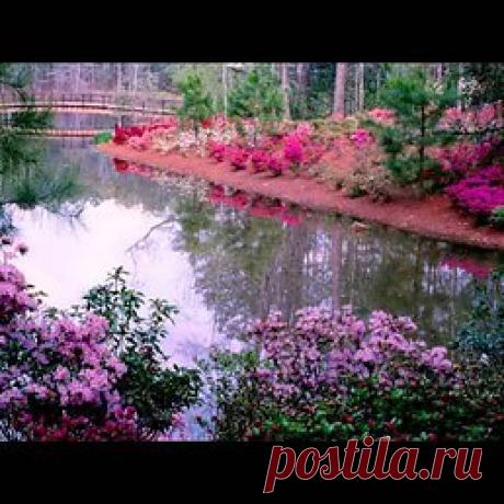 Интересные новости
